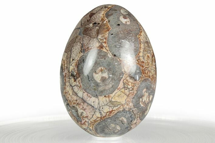 Polished Bird's Eye Jasper (Rhyolite) Egg - Mexico #356339